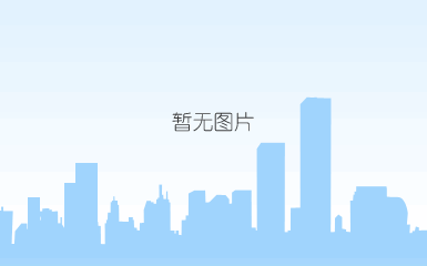 深圳副市长艾学峰会见fesco集团董事长、adecco集团ceo一行，推进中外国际人才交流